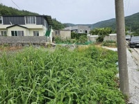 경매마당 공매정보 2024-04266-001의 시세, 권리분석, 상세정보