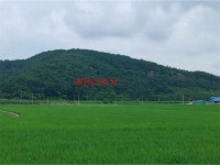 경매마당 공매정보 2024-05736-001의 시세, 권리분석, 상세정보