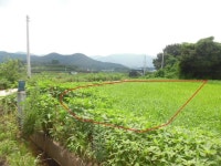 경매마당 공매정보 2024-060474-086의 시세, 권리분석, 상세정보