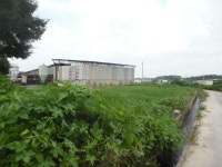 경매마당 공매정보 2024-060474-086의 시세, 권리분석, 상세정보