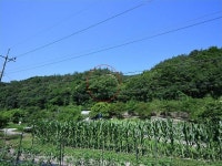 경매마당 공매정보 2024-06272-001의 시세, 권리분석, 상세정보