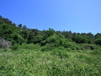 경매마당 공매정보 2024-06272-001의 시세, 권리분석, 상세정보