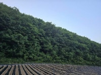 경매마당 공매정보 2024-06286-001의 시세, 권리분석, 상세정보