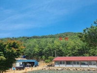 경매마당 공매정보 2024-06306-001의 시세, 권리분석, 상세정보