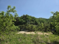 경매마당 공매정보 2024-06333-006의 시세, 권리분석, 상세정보