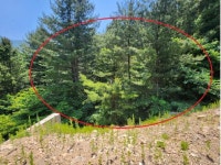 경매마당 공매정보 2024-06509-001의 시세, 권리분석, 상세정보