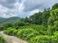 경매마당 공매정보 2024-06570-001의 시세, 권리분석, 상세정보