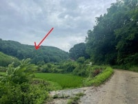 경매마당 공매정보 2024-06708-001의 시세, 권리분석, 상세정보