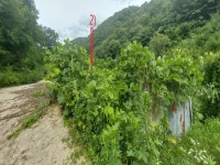 경매마당 공매정보 2024-06799-004의 시세, 권리분석, 상세정보