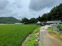 경매마당 공매정보 2024-06834-001의 시세, 권리분석, 상세정보