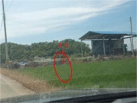 경매마당 공매정보 2024-06923-001의 시세, 권리분석, 상세정보