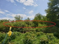 경매마당 공매정보 2024-07420-001의 시세, 권리분석, 상세정보