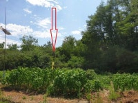 경매마당 공매정보 2024-07420-001의 시세, 권리분석, 상세정보