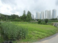 경매마당 공매정보 2024-07772-001의 시세, 권리분석, 상세정보