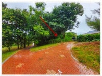 경매마당 공매정보 '2024-0800-060563'의 시세, 권리분석, 상세정보