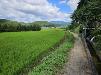 경매마당 공매정보 '2024-08209-001'의 시세, 권리분석, 상세정보
