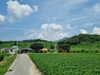 경매마당 공매정보 2024-10263-001의 시세, 권리분석, 상세정보