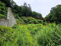 경매마당 공매정보 2024-10650-002의 시세, 권리분석, 상세정보