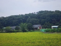 경매마당 공매정보 2024-10720-001의 시세, 권리분석, 상세정보