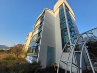 경매마당 공매정보 2024-11125-010의 시세, 권리분석, 상세정보