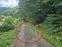 경매마당 공매정보 2024-11454-001의 시세, 권리분석, 상세정보