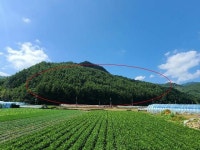 경매마당 공매정보 2024-11470-001의 시세, 권리분석, 상세정보