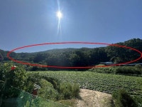 경매마당 공매정보 '2024-11608-001'의 시세, 권리분석, 상세정보