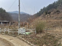 경매마당 공매정보 '2024-12462-001'의 시세, 권리분석, 상세정보