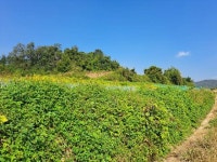 경매마당 공매정보 2024-13192-001의 시세, 권리분석, 상세정보