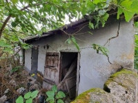 경매마당 공매정보 2024-13196-001의 시세, 권리분석, 상세정보