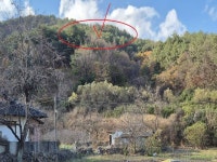 경매마당 공매정보 2024-14047-001의 시세, 권리분석, 상세정보