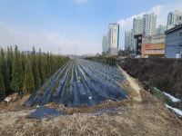 경매마당 공매정보 2024-14360-001의 시세, 권리분석, 상세정보