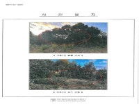 경매마당 공매정보 2024-14586-003의 시세, 권리분석, 상세정보