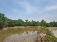 경매마당 공매정보 '2024-14609-005'의 시세, 권리분석, 상세정보