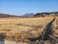 경매마당 공매정보 2024-15161-003의 시세, 권리분석, 상세정보