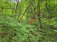 경매마당 공매정보 2024-15685-001의 시세, 권리분석, 상세정보