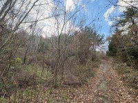 경매마당 공매정보 2024-16395-001의 시세, 권리분석, 상세정보