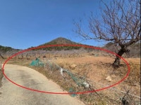 경매마당 공매정보 2024-18079-002의 시세, 권리분석, 상세정보