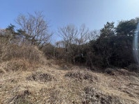 경매마당 공매정보 '2024-18328-001'의 시세, 권리분석, 상세정보