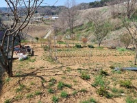 경매마당 공매정보 2024-18873-001의 시세, 권리분석, 상세정보