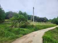 경매마당 공매정보 2025-01539-001의 시세, 권리분석, 상세정보