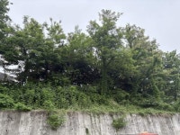 경매마당 공매정보 2025-02471-001의 시세, 권리분석, 상세정보