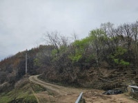 경매마당 공매정보 2025-03536-001의 시세, 권리분석, 상세정보