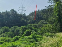 경매마당 공매정보 2025-04211-006의 시세, 권리분석, 상세정보
