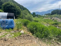 경매마당 공매정보 2025-04330-007의 시세, 권리분석, 상세정보