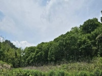 경매마당 공매정보 2025-05206-009의 시세, 권리분석, 상세정보