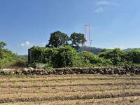 경매마당 공매정보 '2025-05243-002'의 시세, 권리분석, 상세정보
