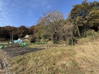 경매마당 공매정보 2025-05923-002의 시세, 권리분석, 상세정보