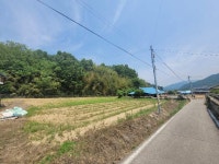 경매마당 공매정보 2025-05999-001의 시세, 권리분석, 상세정보