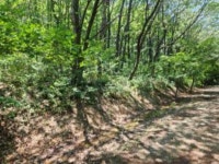 경매마당 공매정보 2025-06129-005의 시세, 권리분석, 상세정보